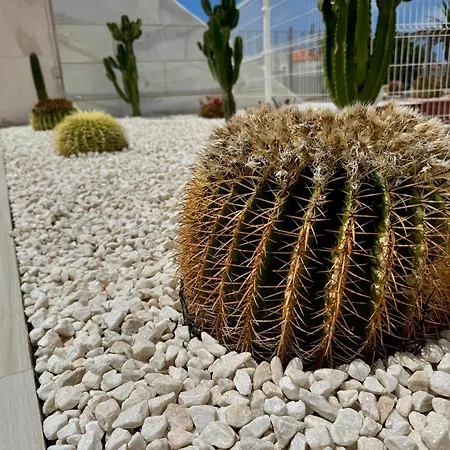 San Eugenio Stunning With Pool Tenerife Lejlighed